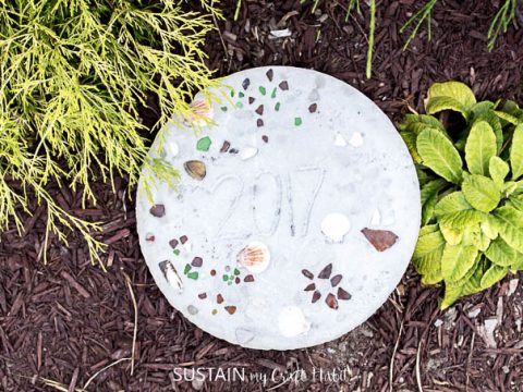 Image for Make DIY Stepping Stones