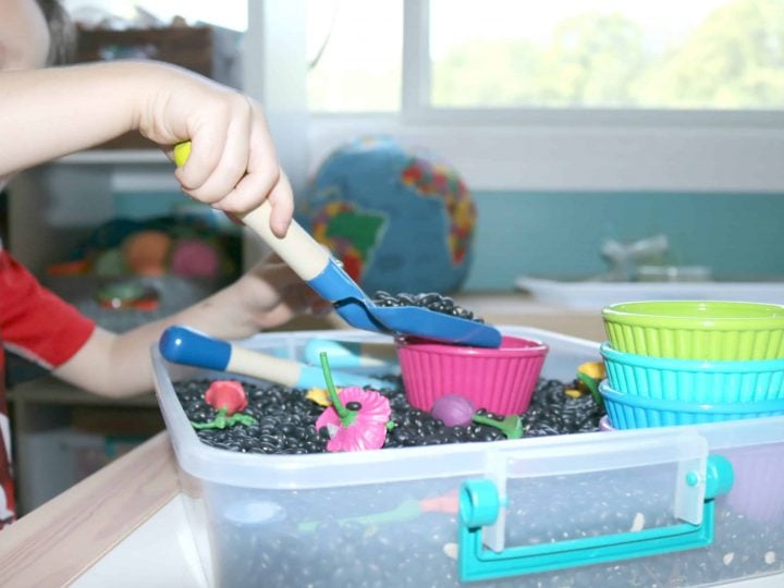 Image for Build this Planting Flowers Sensory Bin Gardening Activity for Preschoolers