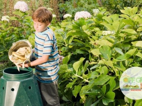 Image for Teach the Kids to Compost